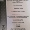 Ampliar imagen: certificate 11