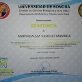Ampliar imagen: certificate 10