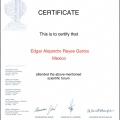 Ampliar imagen: certificate 14