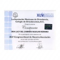Ampliar imagen: certificate 24