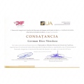 Ampliar imagen: certificate 1