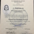 Ampliar imagen: certificate 2