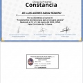 Ampliar imagen: certificate 13