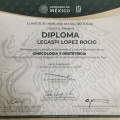 Ampliar imagen: certificate 7