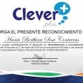 Ampliar imagen: certificate 12