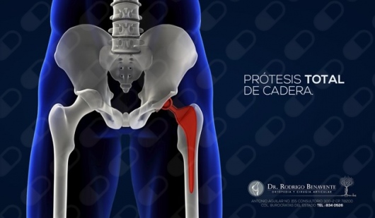 Rodrigo Alfonso Benavente Fuentes-0