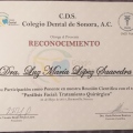 Ampliar imagen: certificate 9