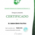 Ampliar imagen: certificate 3