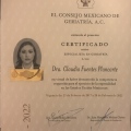 Ampliar imagen: certificate 3