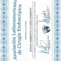 Ampliar imagen: certificate 1