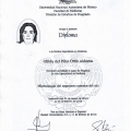 Ampliar imagen: certificate 4