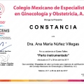 Ampliar imagen: certificate 2