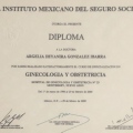 Ampliar imagen: certificate 9