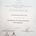 Ampliar imagen: certificate 6