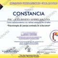 Ampliar imagen: certificate 2
