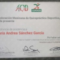 Ampliar imagen: certificate 7