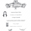 Ampliar imagen: certificate 5
