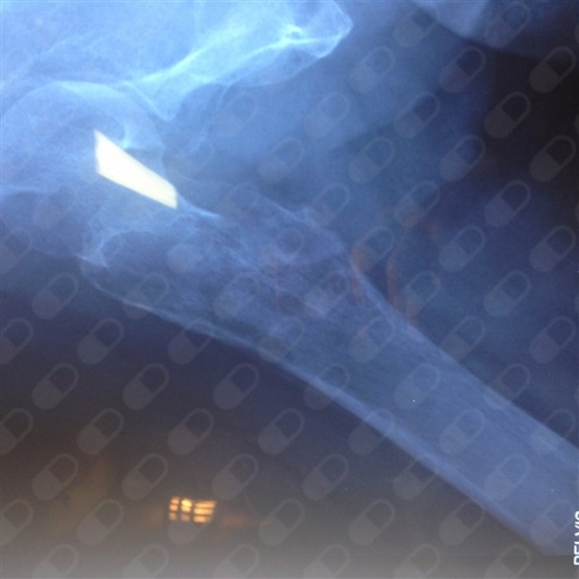 Mariana Mojica Díaz-5