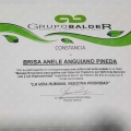 Ampliar imagen: certificate 7