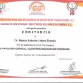 Ampliar imagen: certificate 73