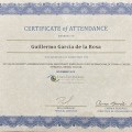 Ampliar imagen: certificate 7