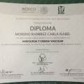 Ampliar imagen: certificate 2