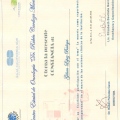 Ampliar imagen: certificate 20