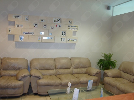 Jaime Cohen Cattan-5