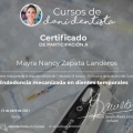 Ampliar imagen: certificate 1