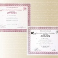 Ampliar imagen: certificate 39