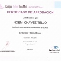 Ampliar imagen: certificate 20