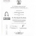 Ampliar imagen: certificate 1
