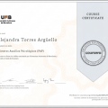 Ampliar imagen: certificate 9