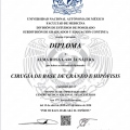 Ampliar imagen: certificate 4