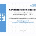 Ampliar imagen: certificate 13