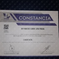 Ampliar imagen: certificate 4