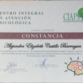 Ampliar imagen: certificate 5