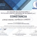 Ampliar imagen: certificate 7
