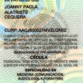 Ampliar imagen: certificate 2