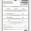 Ampliar imagen: certificate 3