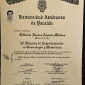 Ampliar imagen: certificate 1