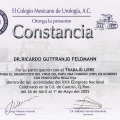 Ampliar imagen: certificate 117