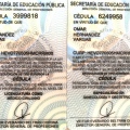 Ampliar imagen: certificate 8