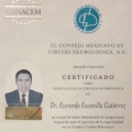 Ampliar imagen: certificate 1