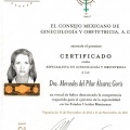 Ampliar imagen: certificate 6