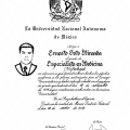 Ampliar imagen: certificate 5