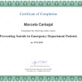 Ampliar imagen: certificate 3