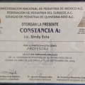 Ampliar imagen: certificate 6