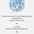 Ampliar imagen: certificate 1