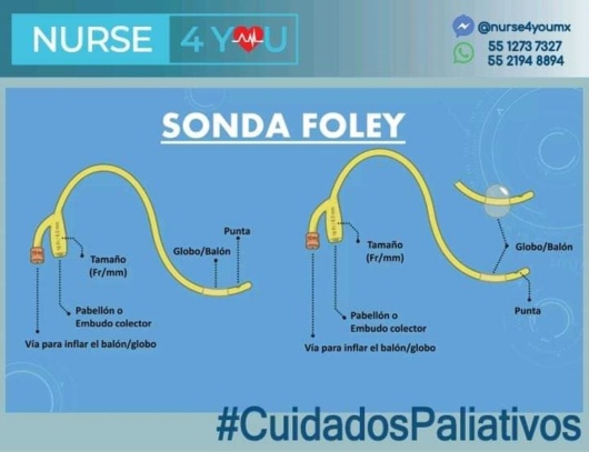 Pedro Edgar Bravo Bautista-6